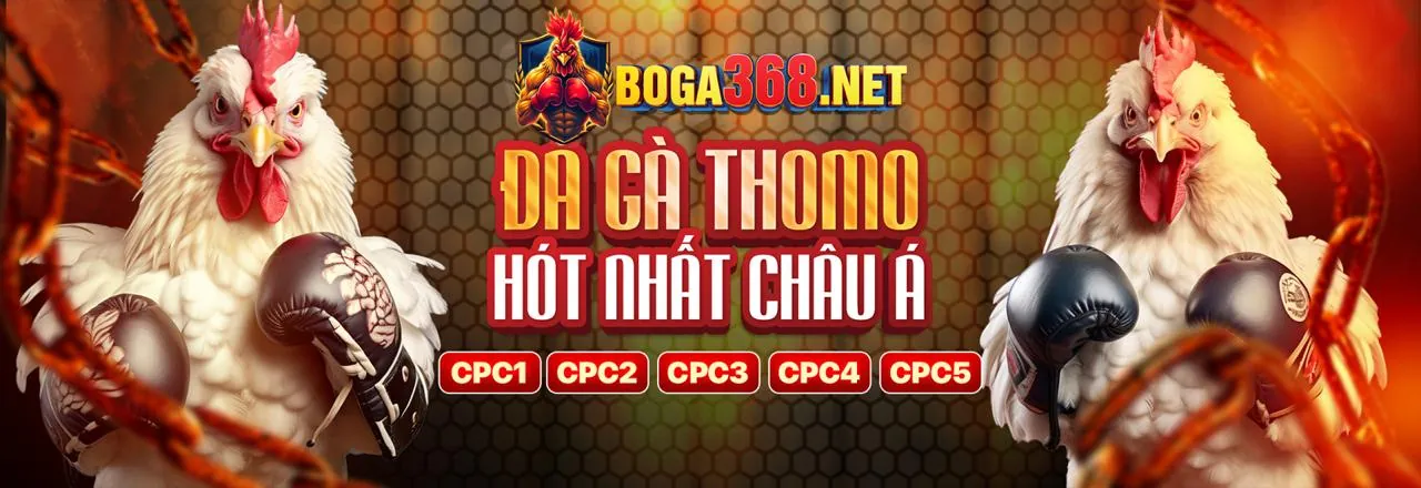 Hình ảnh chính cho trang cá cược có trách nhiệm của 555winto