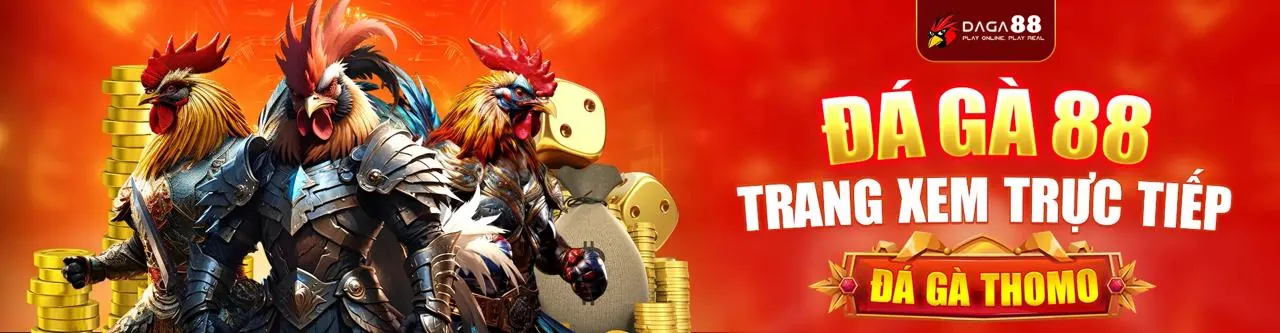 Đá Gà Trực Tuyến 555winto