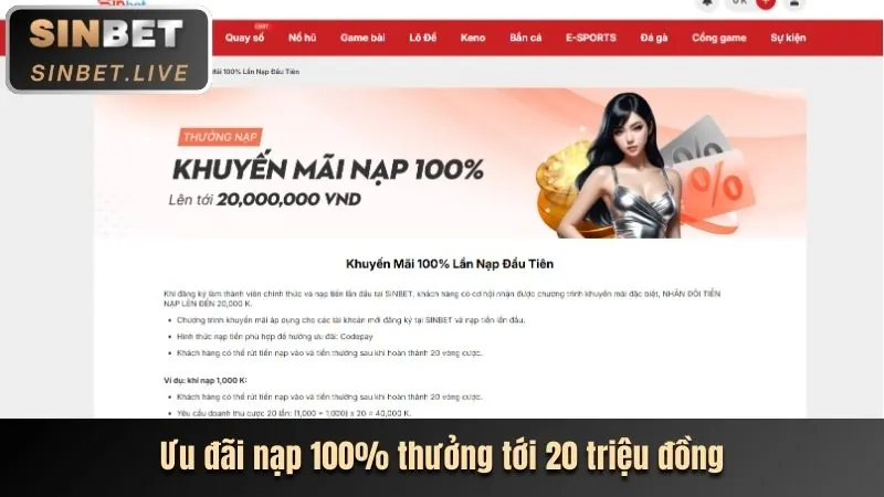 Giao diện cá cược thể thao mới của 555winto